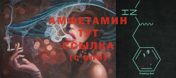 метадон Каменка