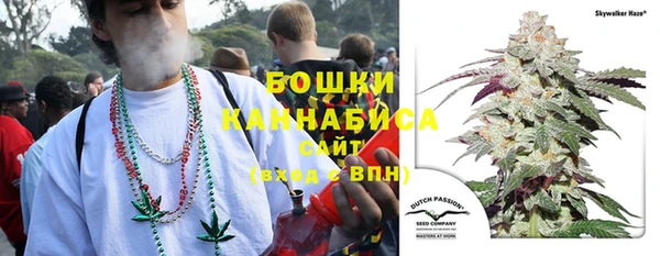 метадон Каменка