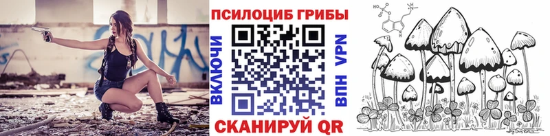 Купить закладки  Магас  Галлюциногенные грибы MAGIC MUSHROOMS 